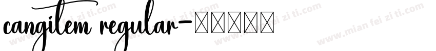 cangitem regular字体转换